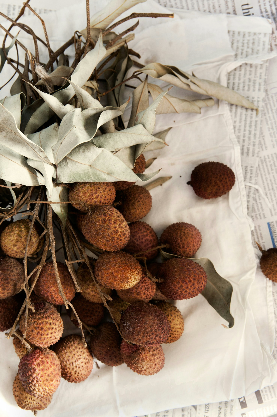 Cozy Coconut & Lychee 8.5 oz scented candle