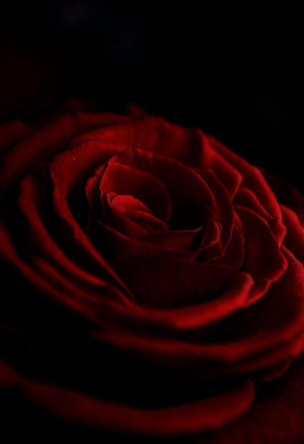 Elegant Sparkling Rose 70 ml Eau de Toilette